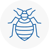 Bed Bug Extermination In Ingrave