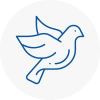 Bird Prevention Ingrave