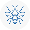 Ingrave Hornet Nest Removals