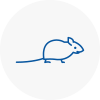 Mice Exterminators In Ingrave