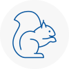 Ingrave Rodent Removals
