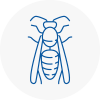 Ingrave Wasp Nest Removal